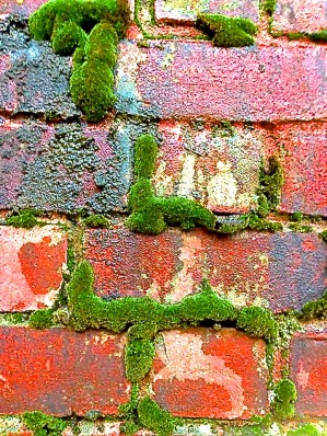 10380989_10202506011075088_9189836577738652090_n