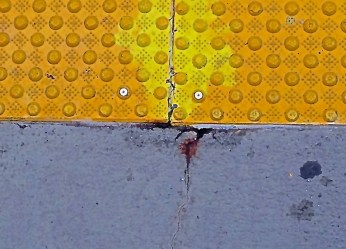 10390962_10202506009435047_1263730118977480348_n