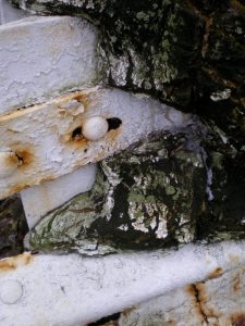 407468_2606757571760_999347947_n